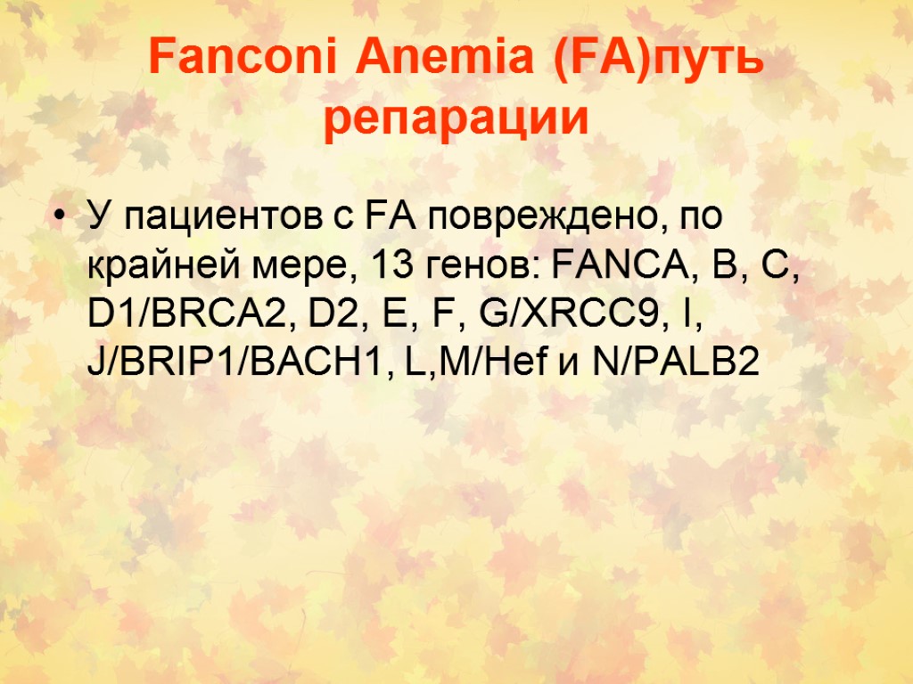 Fanconi Anemia (FA)путь репарации У пациентов с FA повреждено, по крайней мере, 13 генов: